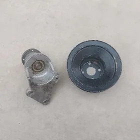 Gazel Natwiźitel şkif