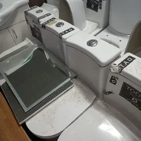 Unitas rakawina boylar