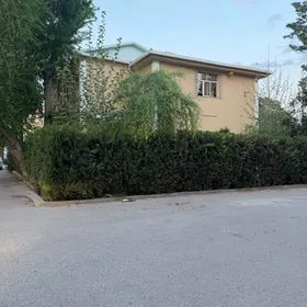 sevcenko koce kotej 6 komnat