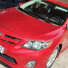 Toyota Corolla 2013