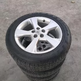 Karola argynal disga teker 16.