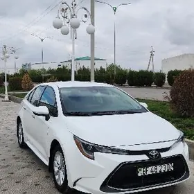 Toyota Corolla 2022