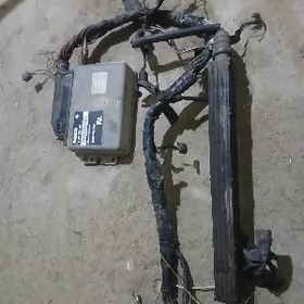 kompyutor we prowoda opelinki