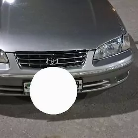 Бабычка фар туманка паваротник