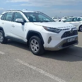 Toyota RAV4 2023