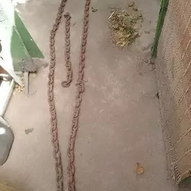 zynjyr, цепь, зынжыр,