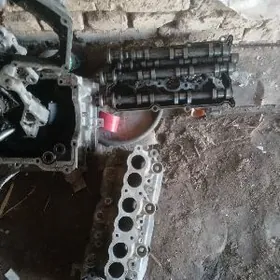 maksima mator zapcas