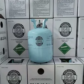 Фрион frion  R134a
