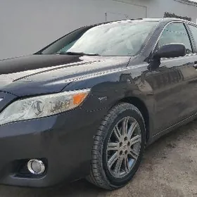 Toyota Camry 2010