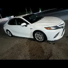 Toyota Camry 2020