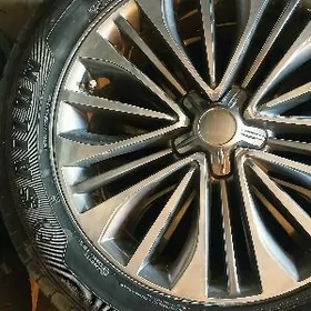 19 lyk disga pokryşga