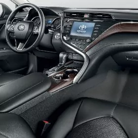 Woditel , водитель