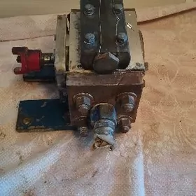 maslenniý nśa nasos