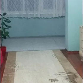 Турецкий палас