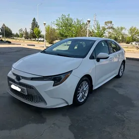 Toyota Corolla 2020