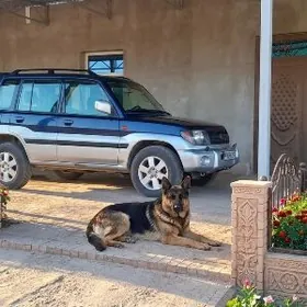 Mitsubishi Pajero 2000