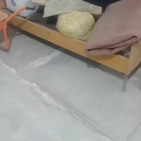 Krawat puržunly arassa