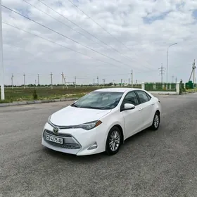 Toyota Corolla 2019