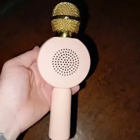 микрофон-колонка