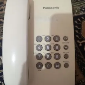 Panasonic