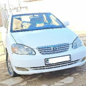 Toyota Corolla 2003