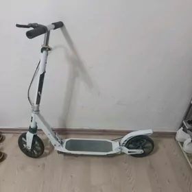 Çaga SAMOKAT, tigir