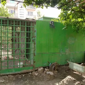 голубятник для голубей