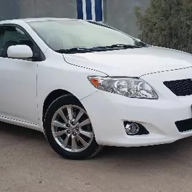 Toyota Corolla 2009