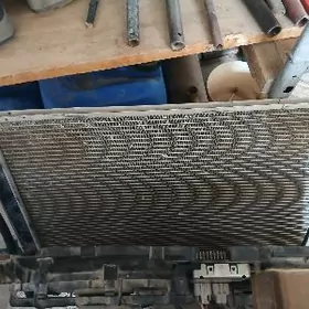 sienna radatyrsienna radatyr