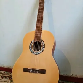 gitara c40