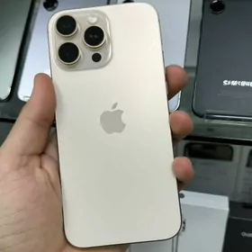 iPhone 16Pro Max 256 100%