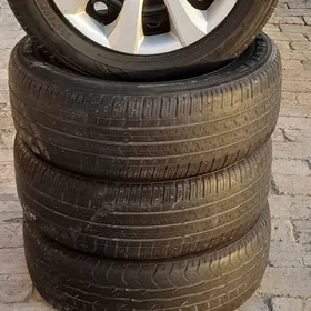 disga pakrişga 16lyk karolla