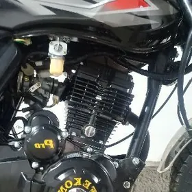 Fekon FK200-14G 2026