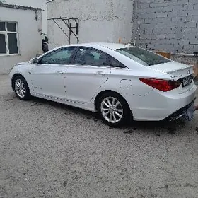 Hyundai Sonata 2010