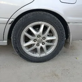 babycga grand disga 16 lyk