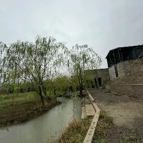 Gökdepe Yan̈gala 15 sotuk