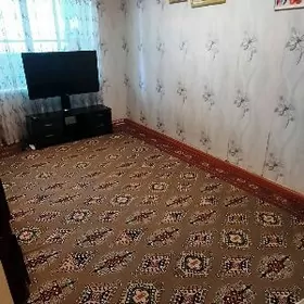 satlyk jay Anew Änew