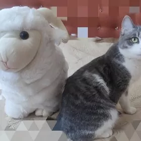 игрушка барашек