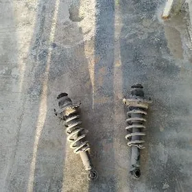 amessatyr karollanky