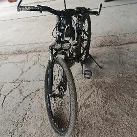 mersdens bensMersdens-bense