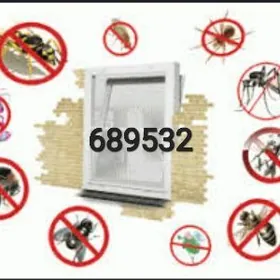 Ayna setga Москитни сетки