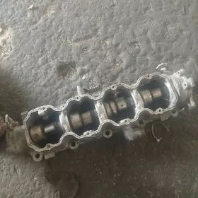 rasprediwal arassa morda