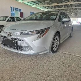 Toyota Corolla 2022