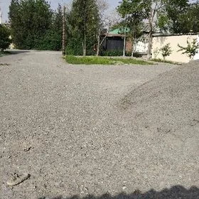 Bekrewe 5 sotak bos yer