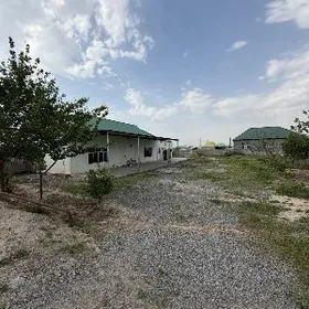 ÄNEW MAGTYMGULY 16 SOTUK