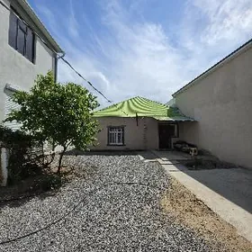 Satlyk Coganly PlanJay! 3sotyk