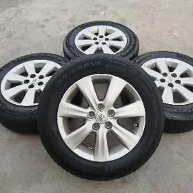 2014 krola disge pakyryşga 15