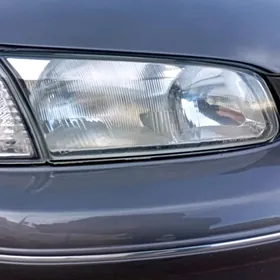 LISICKA-BABOCHKA CHUYSHE FAR