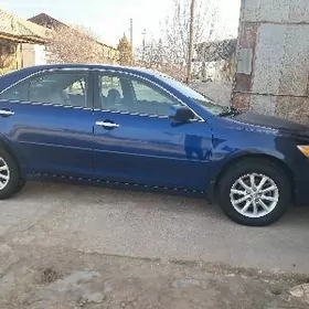 Toyota Camry 2010
