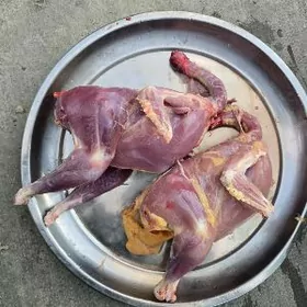 Elin towuk soýlan 9 aýlyk